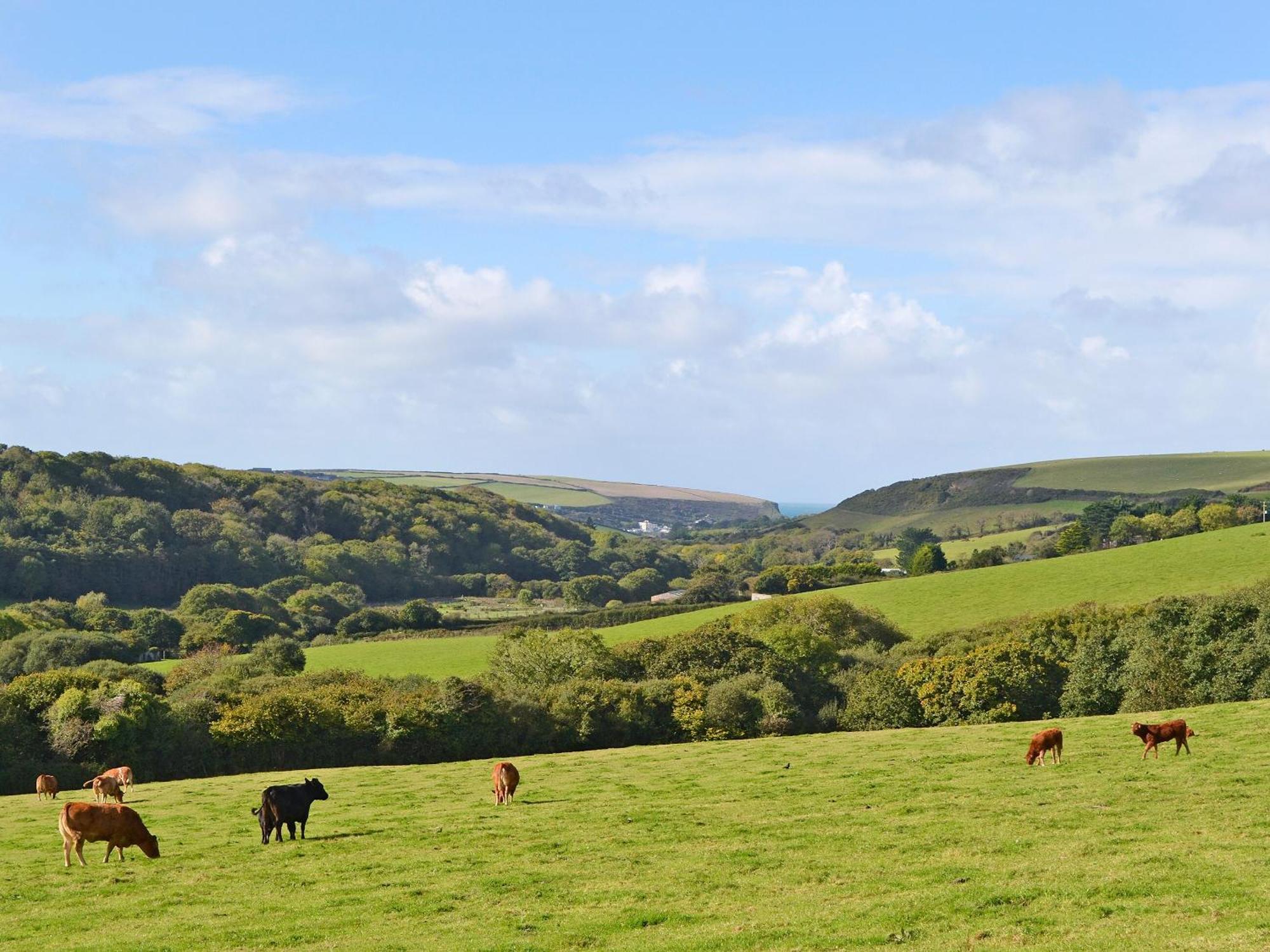 Merlin View St Mawgan Extérieur photo